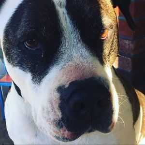 Meet your Posher, Simon